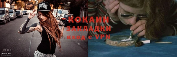 сатива Белокуриха
