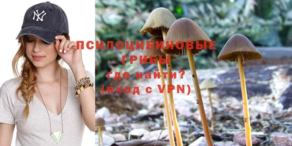 сатива Белокуриха